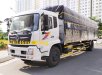 Xe tải Hyundai 8t nhập khẩu máy Cummins ngân hàng hỗ trợ 75%  giá 300 triệu tại Bạc Liêu