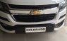 Chevrolet Colorado 2.5L VGT 4x4 AT LTZ 2019, giảm giá khủng, nhập khẩu. Hỗ trợ trả góp 80%